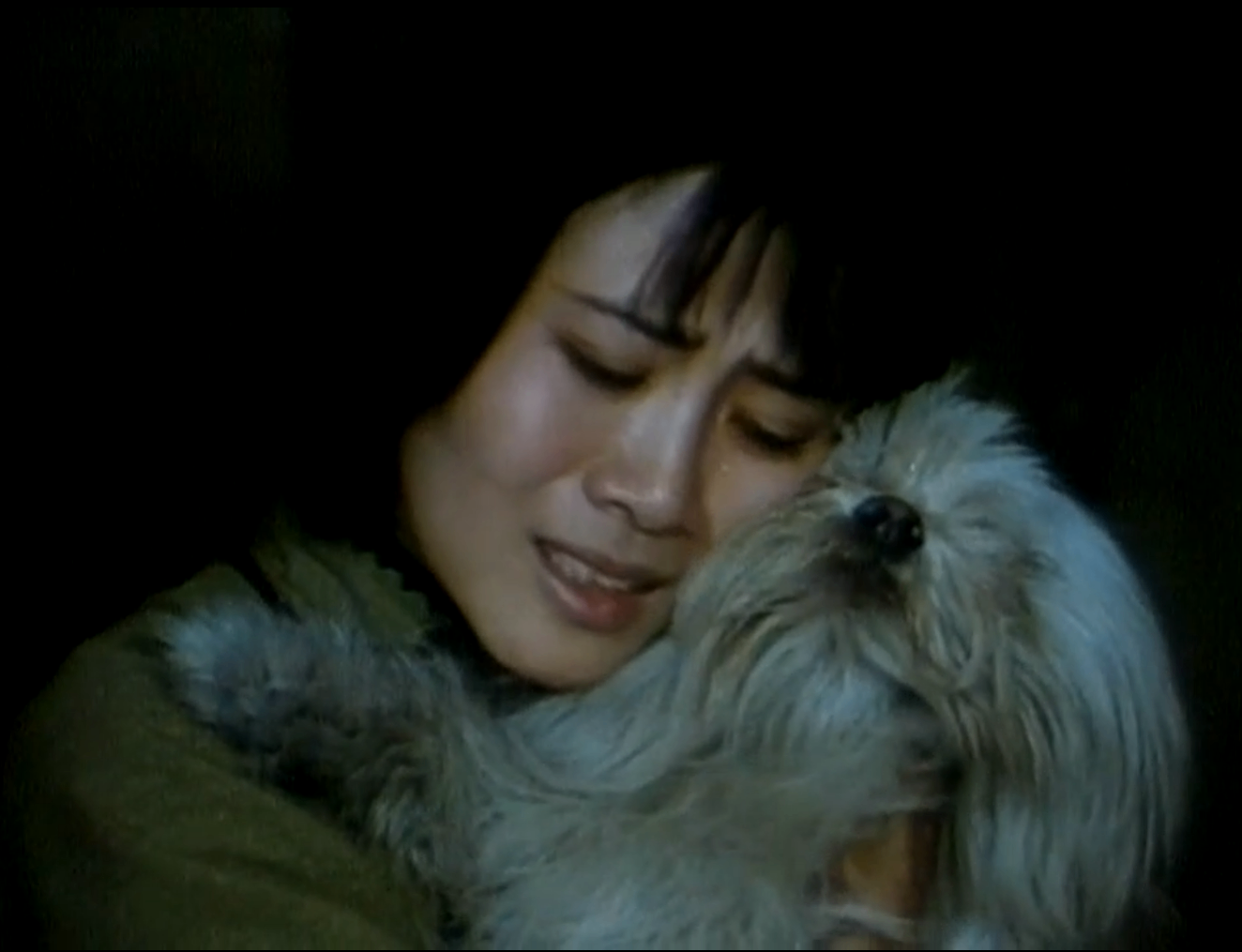 伤逝（北影1981）DVDRip.x264.mkv-1.85G（至尊VIP免费下载）第5页